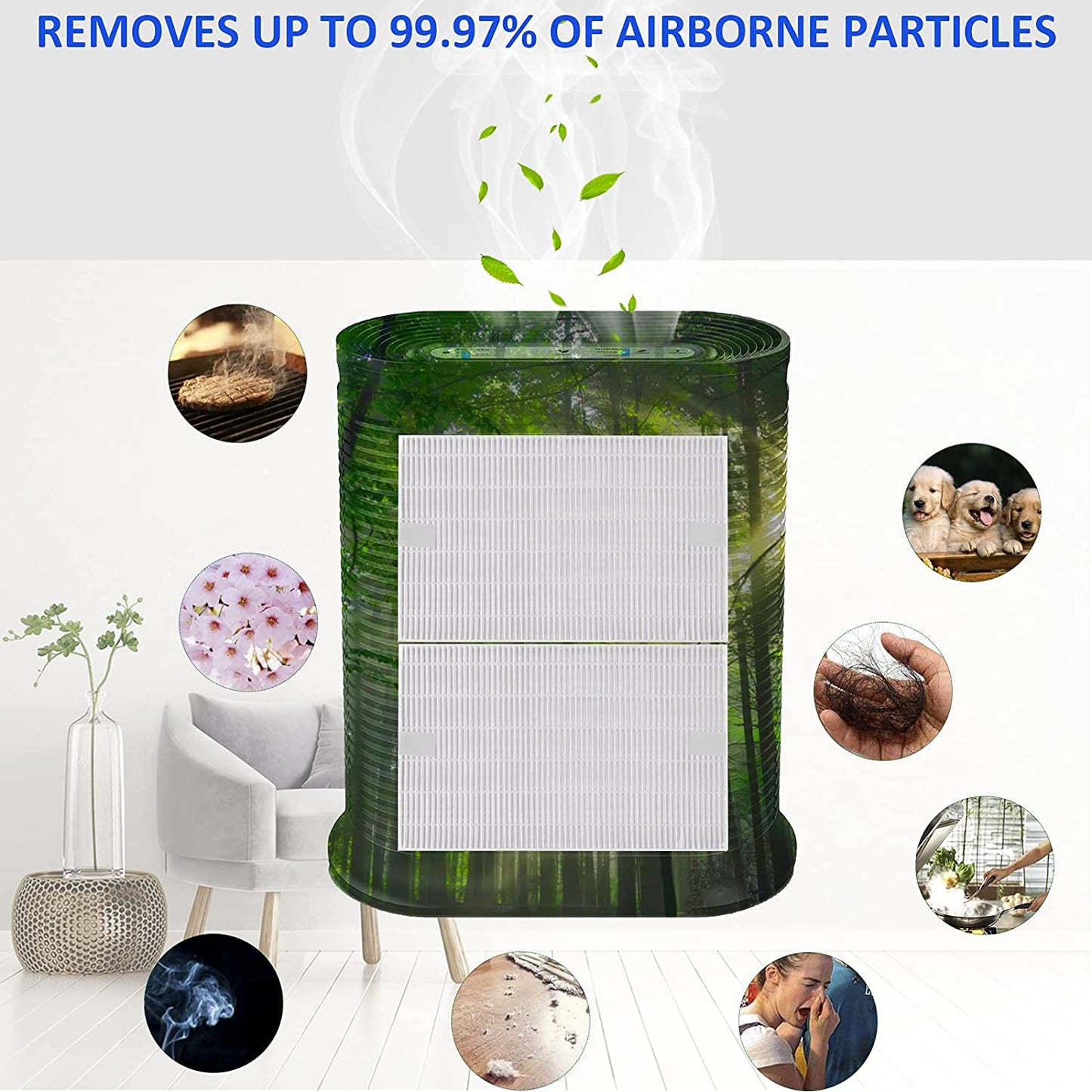 Honeywell HPA300 HPA200 HPA100 Air Purifiers Filters 6 Pack-Laukowind