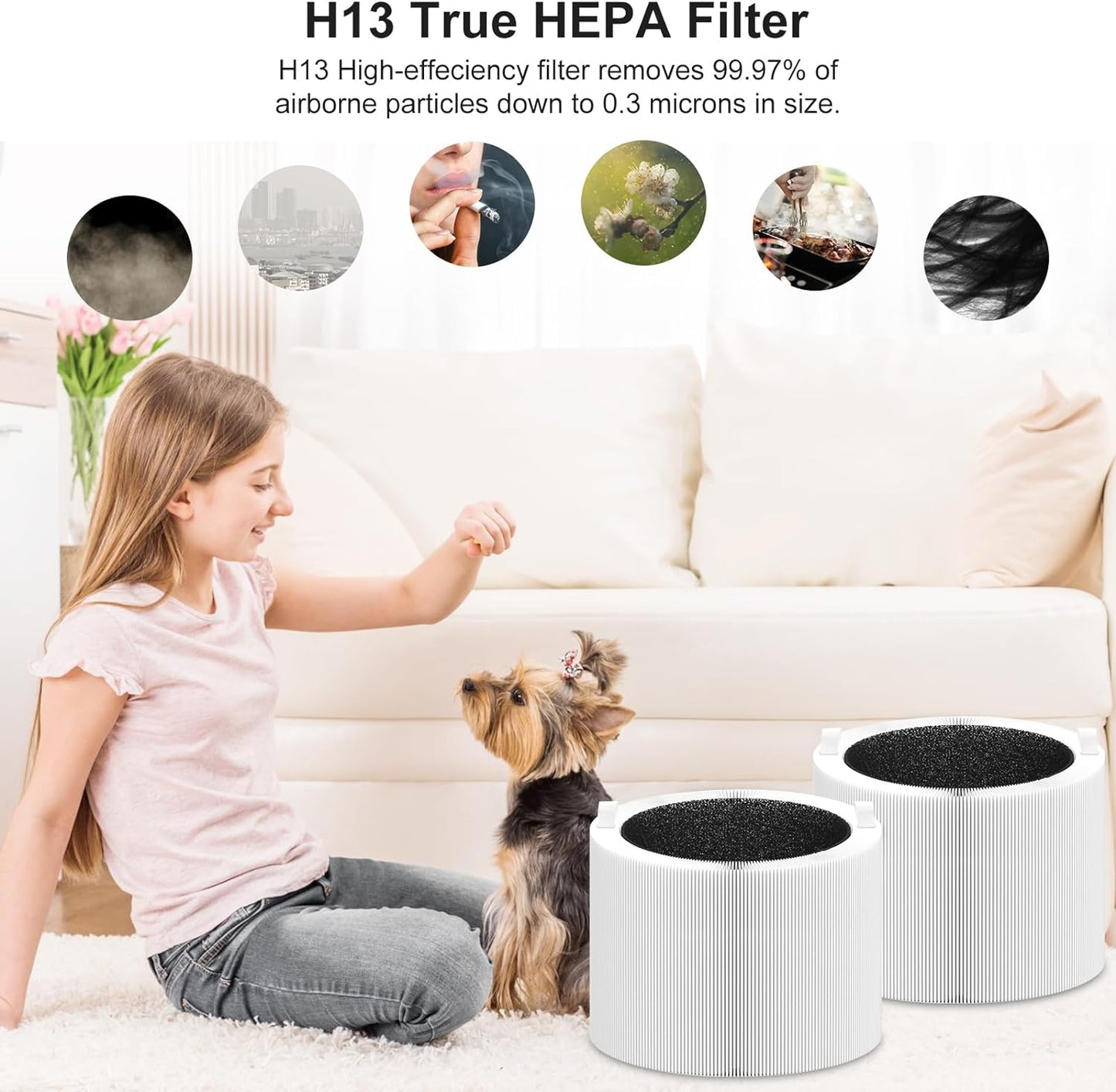 Blue Pure 411i/411a Max Replacement Filter Air purification Filter 2 Pack-Laukowind