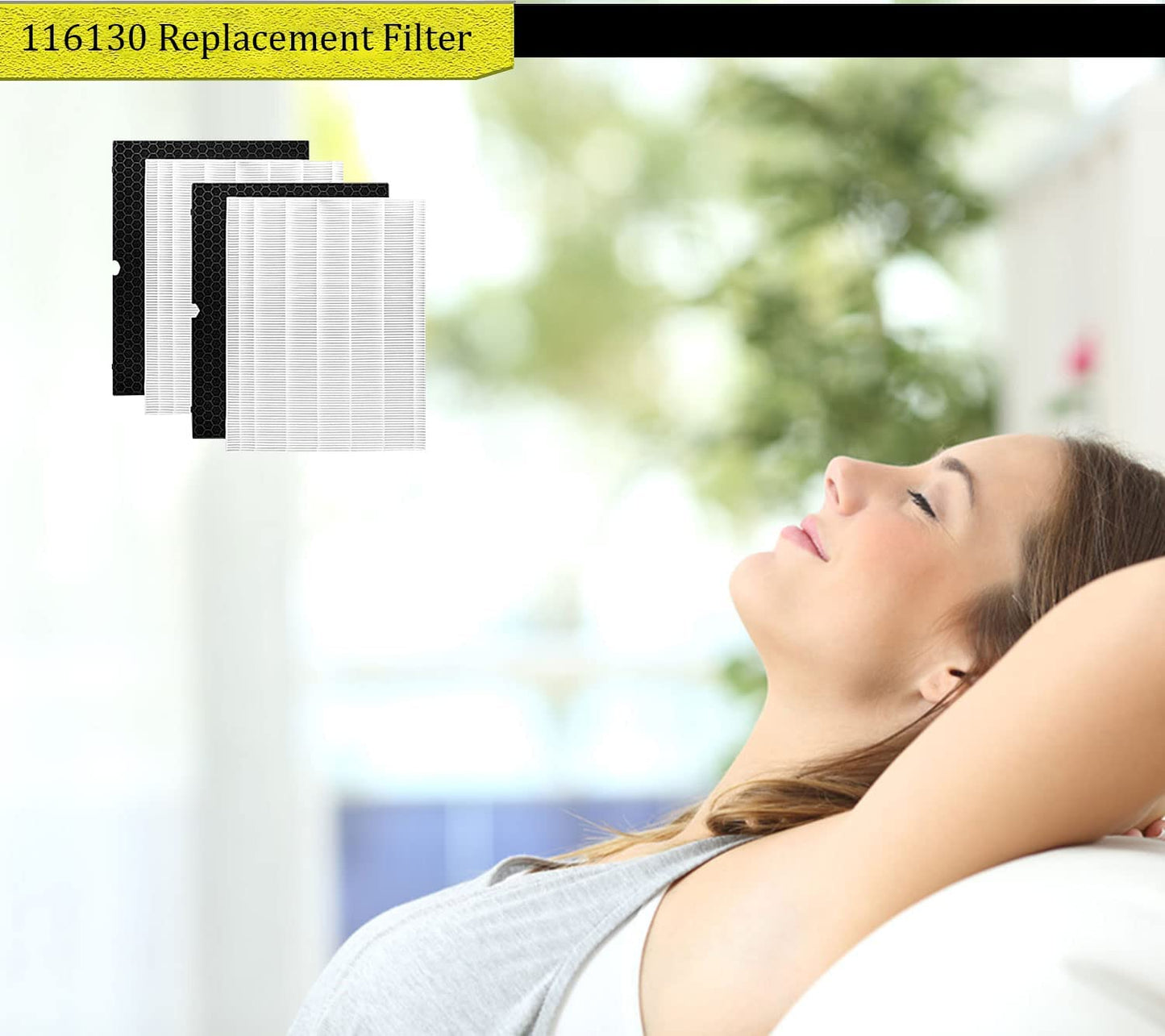 116130 Replacement Filter H for Winix 5500-2 AM80 Air Purifier